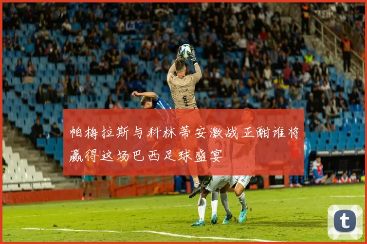 帕梅拉斯与科林蒂安激战正酣谁将赢得这场巴西足球盛宴