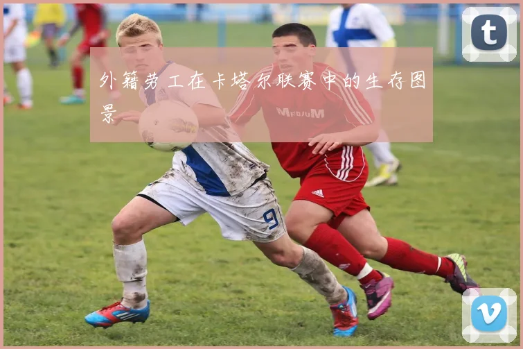 外籍劳工在卡塔尔联赛中的生存图景