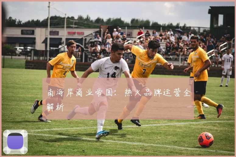 南海岸商业帝国：热火品牌运营全解析