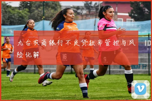 九台农商银行不良贷款率管控与风险化解