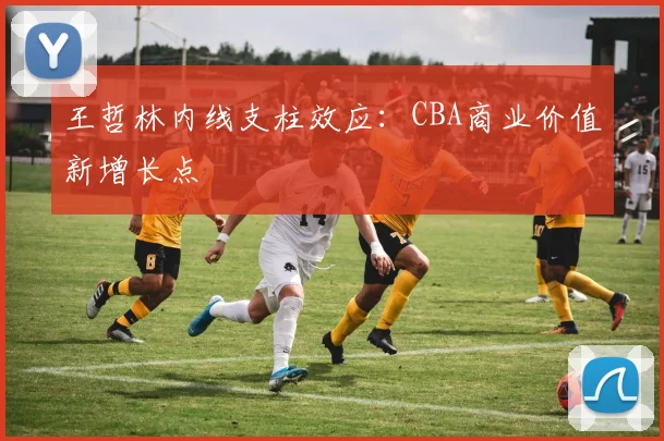王哲林内线支柱效应：CBA商业价值新增长点