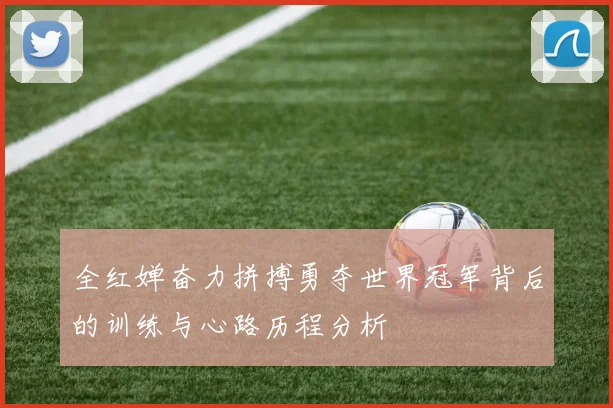 全红婵奋力拼搏勇夺世界冠军背后的训练与心路历程分析