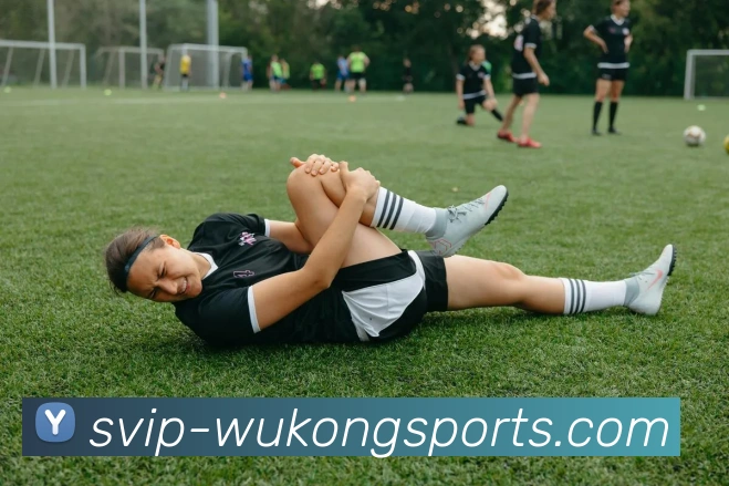 深度解析NBA新赛季格局及各强队竞争走势与未来展望全景观察篇